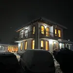 падалото