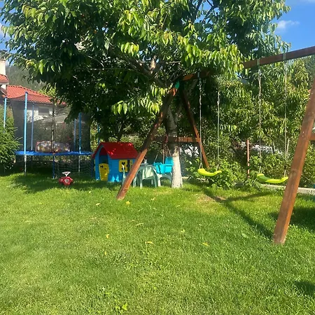 падалото