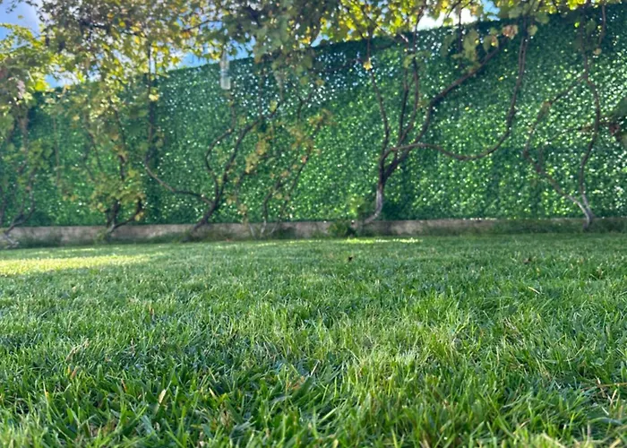 падалото Smolyan