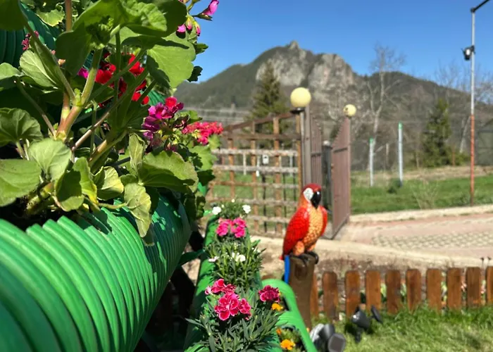 падалото * Smolyan