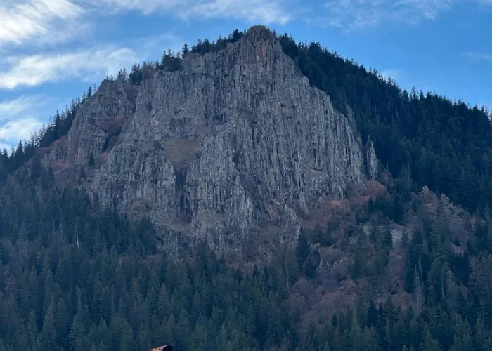 Villa падалото